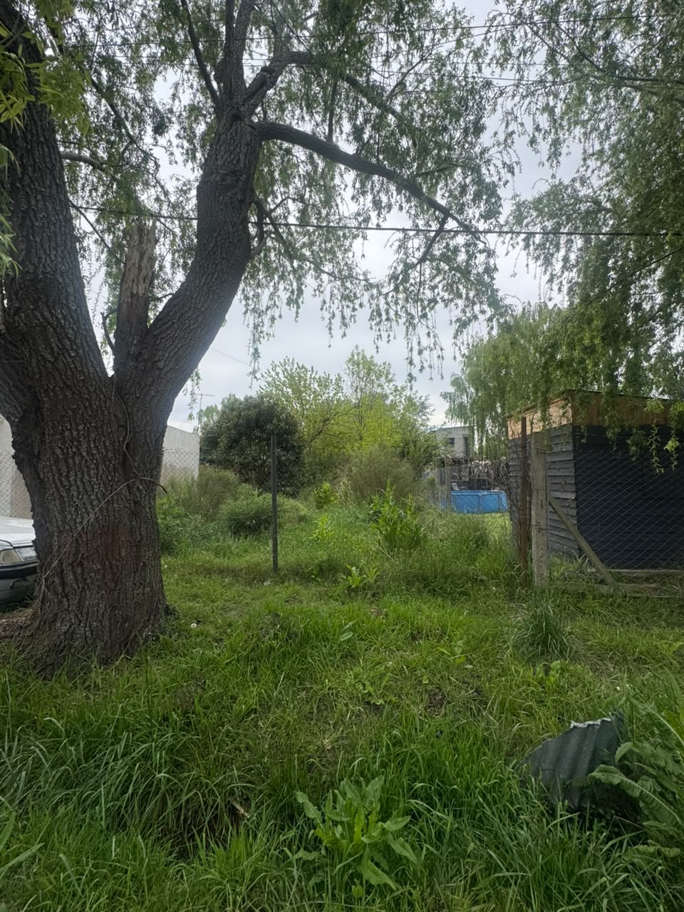 Lote o terreno - 31 e /86 y 87